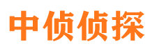 秀洲市私家侦探